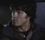SPN_0223.jpg