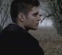 SPN_0489.jpg