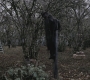 SPN_0497.jpg