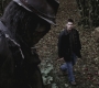 SPN_0500.jpg