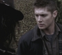 SPN_0525.jpg