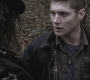 SPN_0542.jpg