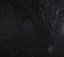 SPN_0813.jpg