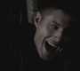 SPN_1186.jpg