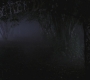 SPN_1242.jpg