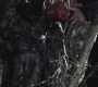 SPN_1259.jpg