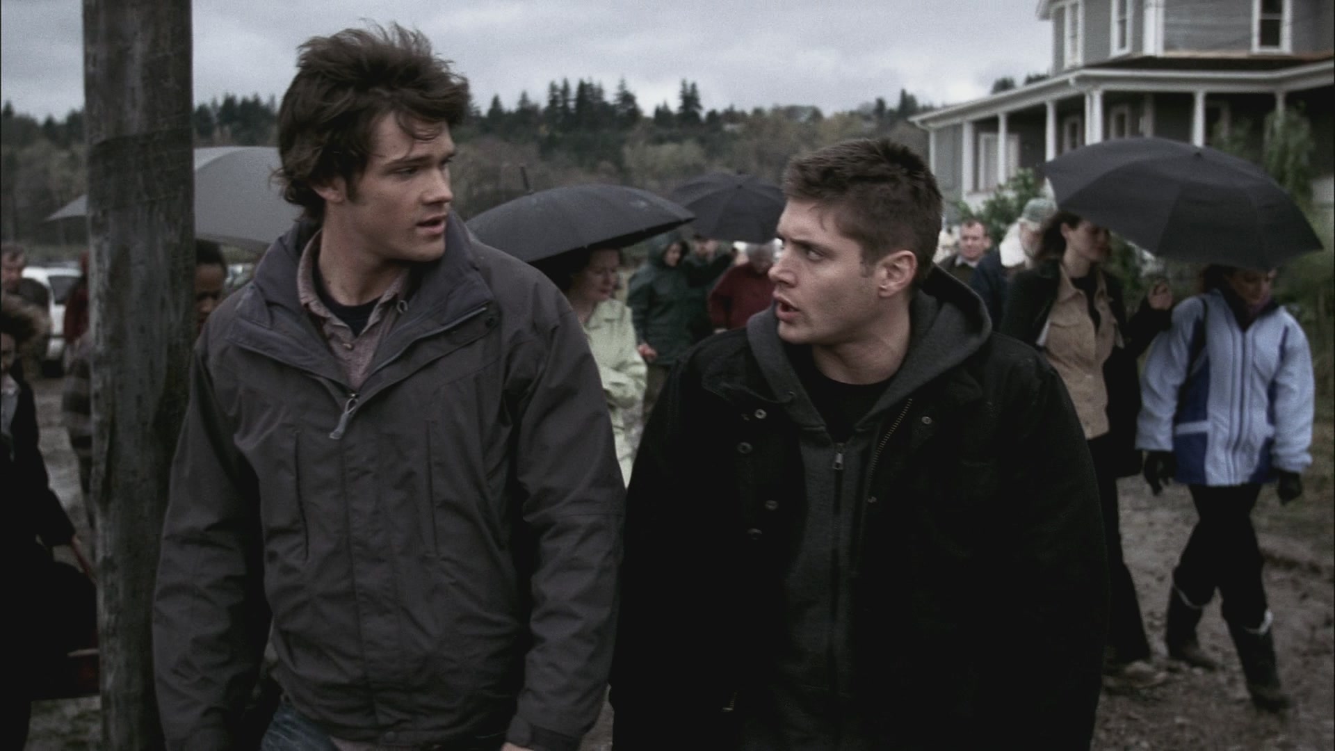 SPN_0322.jpg