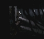 SPN_0040.jpg