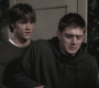 SPN_0254.jpg