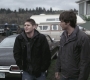 SPN_0305.jpg