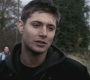 SPN_0346.jpg