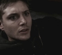 SPN_0500.jpg