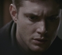 SPN_1161.jpg