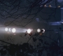 SPN_0282.jpg