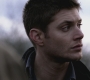 SPN_0309.jpg