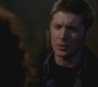 SPN_0519.jpg