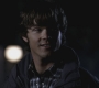 SPN_0973.jpg