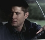 SPN_0817.jpg