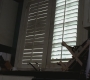 SPN_0901.jpg