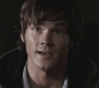 SPN_1179.jpg
