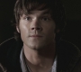 SPN_1182.jpg