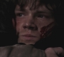 SPN_1204.jpg