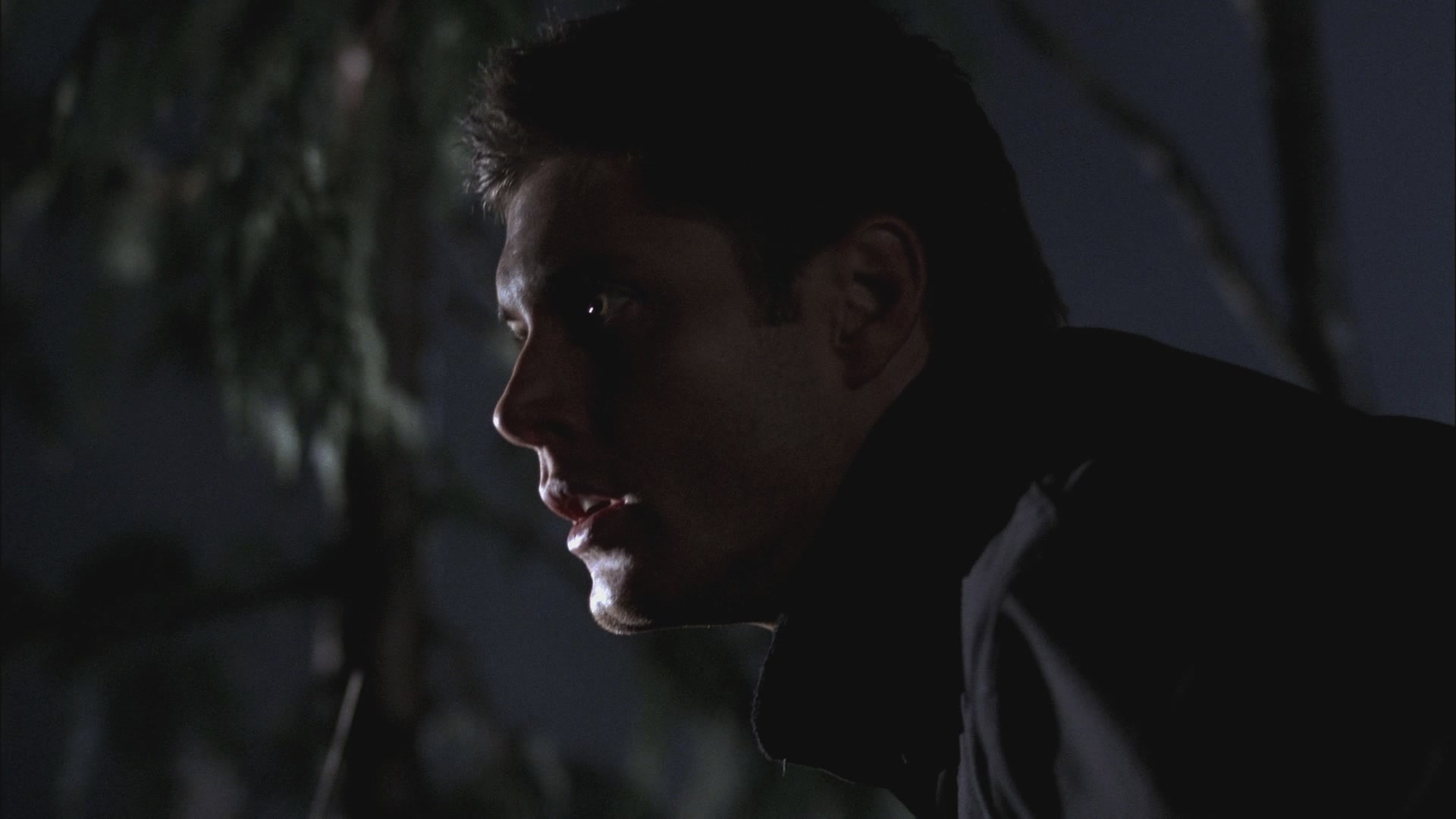 SPN_0622.jpg