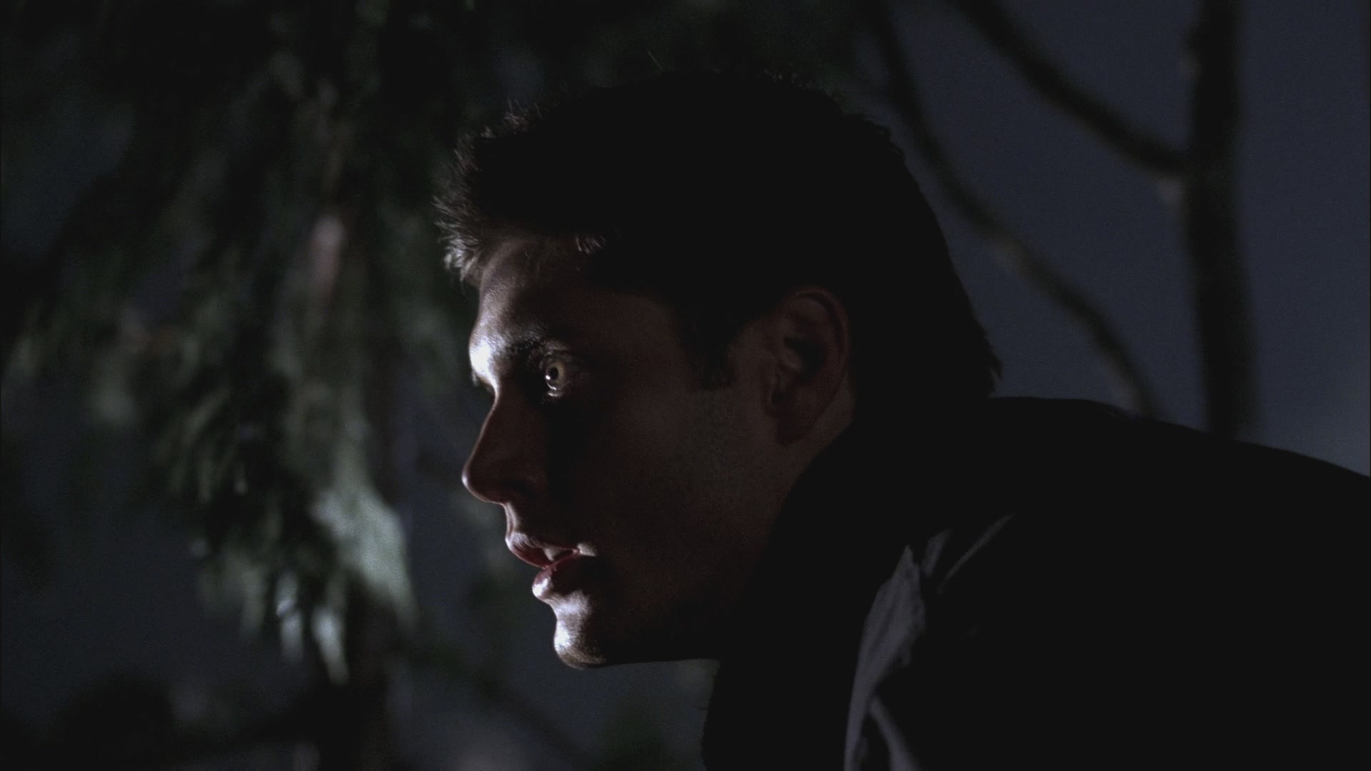 SPN_0623.jpg