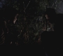 SPN_0611.jpg