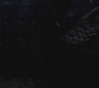 SPN_0656.jpg