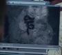 SPN_0932.jpg