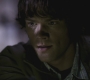 SPN_1173.jpg