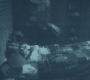 SPN_1183.jpg