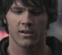 SPN_0264.jpg