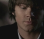 SPN_0371.jpg