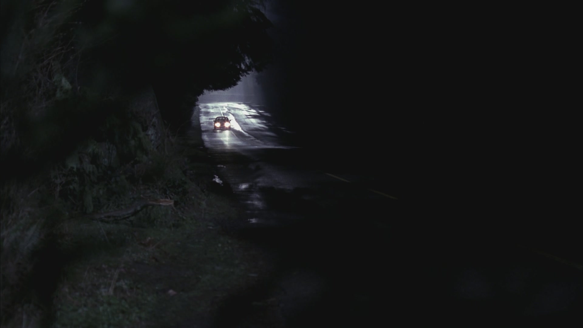 SPN_0298.jpg