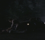 SPN_0318.jpg