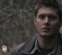 SPN_0373.jpg