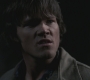 SPN_0531.jpg