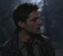 SPN_0540.jpg