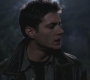 SPN_0541.jpg