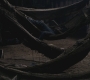 SPN_0711.jpg