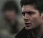 SPN_0240.jpg