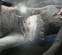 SPN_0787.jpg