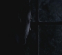 SPN_0977.jpg