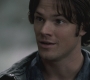 SPN_0205.jpg