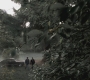 SPN_0246.jpg