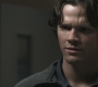 SPN_0389.jpg