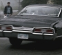 SPN_0423.jpg