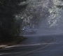 SPN_0479.jpg